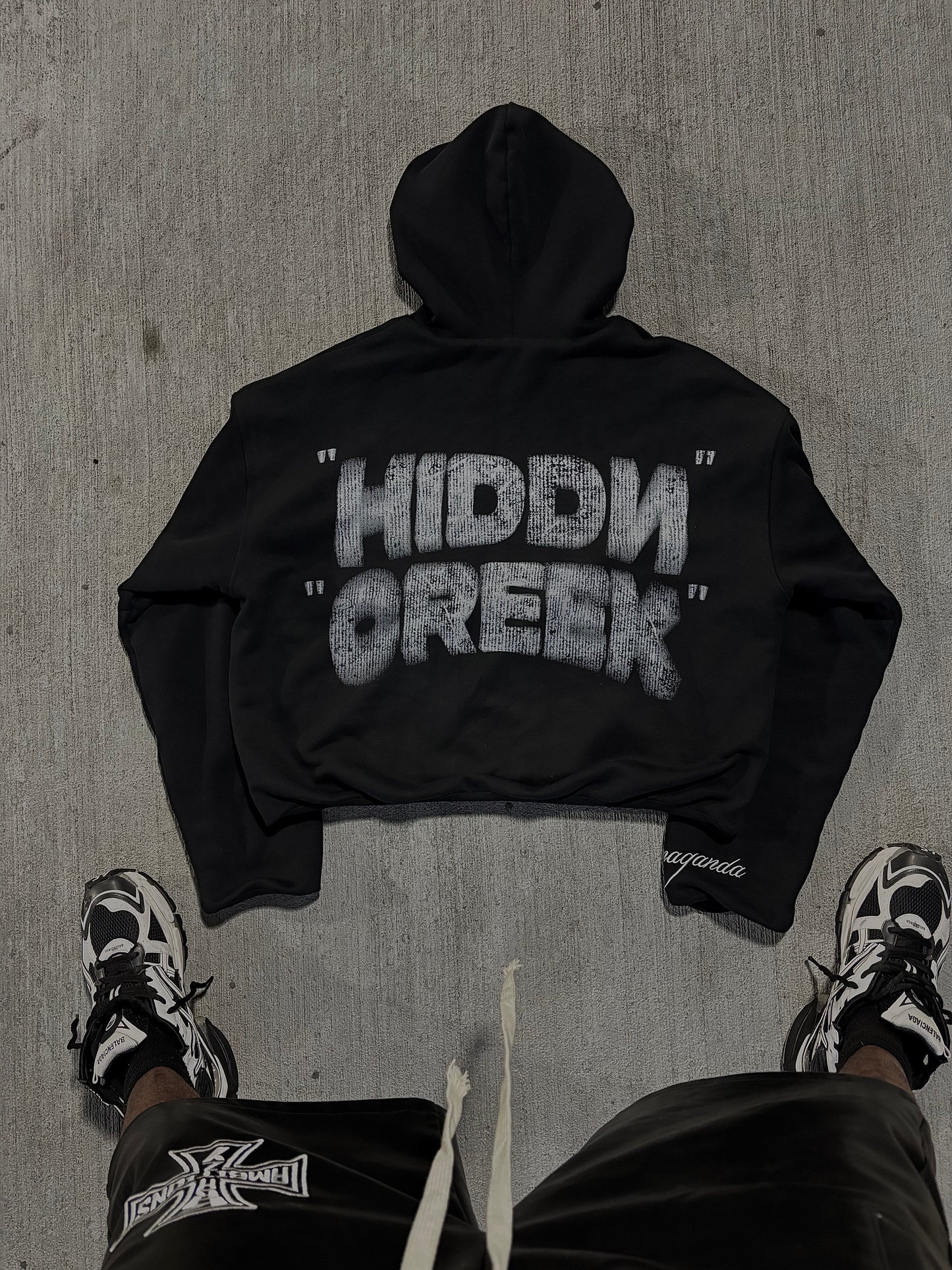 🏴‍☠️Propaganda Hoodie🏴‍☠️